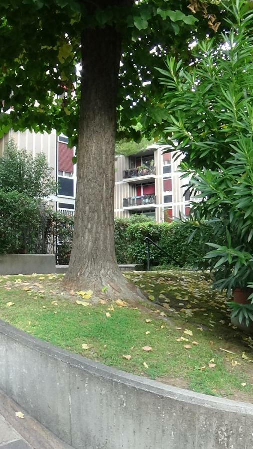 Domus Mariae Appartement *